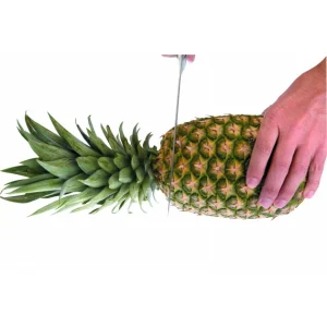 Top 10 🤩 Coupe Ananas Plastique Ø 8,5 cm x H 25 cm Ibili 🥰 Réductions 12