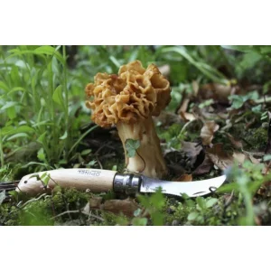 Couteau à Champignon N°8 Sous Blister Opinel france en ligne 10