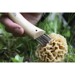 Couteau à Champignon N°8 Sous Blister Opinel france en ligne 12